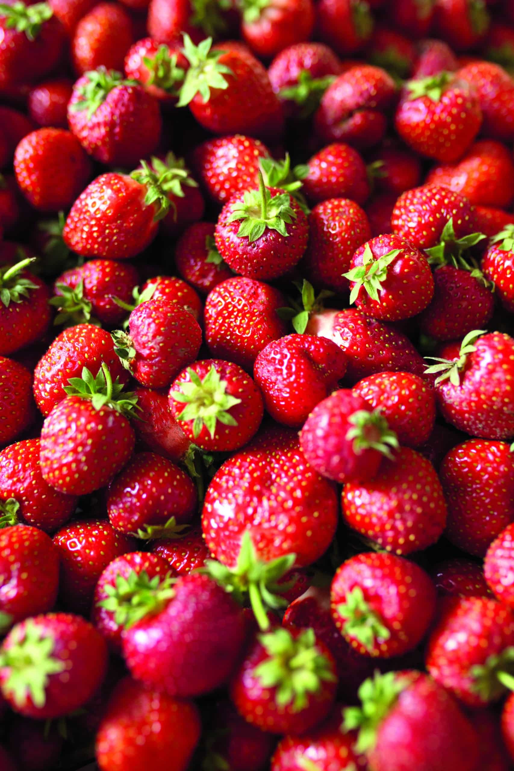 Strawberries in a crate close-up